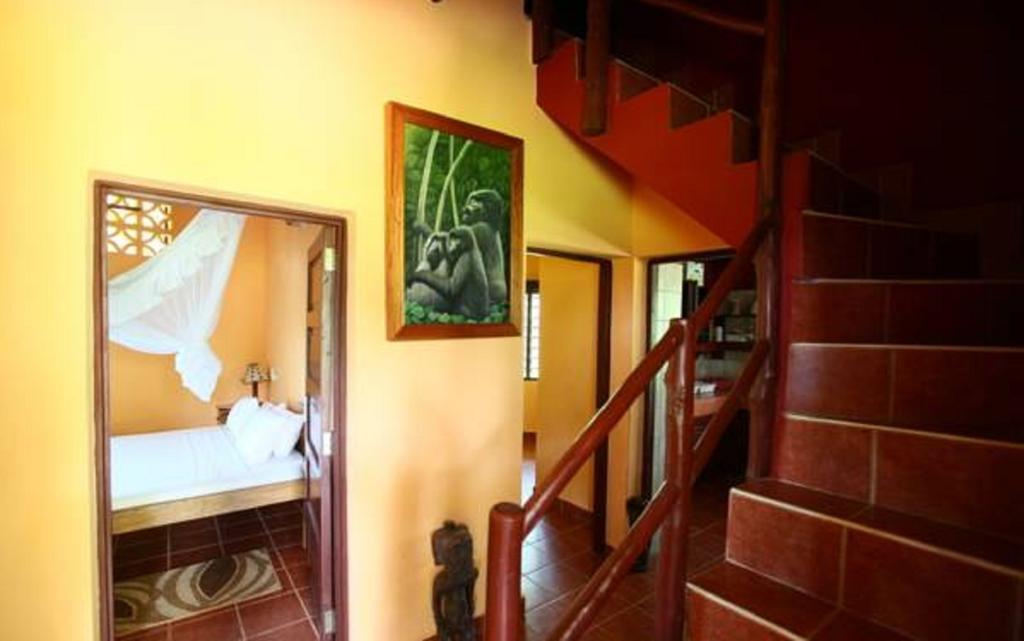 Economy Double Room with Shared Bathroom